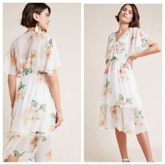 Farm Rio Dresses & Skirts - Farm Rio Anthropologie Floral Midi Dress, Eloisa Chiffon Flutter Sleeve, Sz S